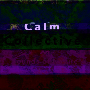 收聽Calm Collective的Tropical Beach歌詞歌曲