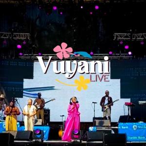 收聽Vuyo Brown的Vuyani (Live Version)歌詞歌曲