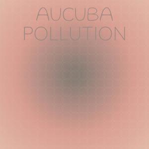 อัลบัม Aucuba Pollution ศิลปิน Various