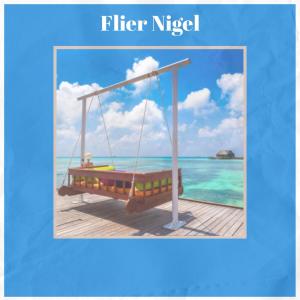 Album Flier Nigel from Various