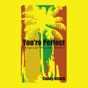 收聽Candy Attack的You're Perfect (Tropical House Remix)歌詞歌曲