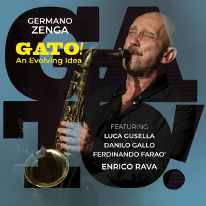 Listen to La Musica No Se Puede Explicar song with lyrics from Germano Zenga