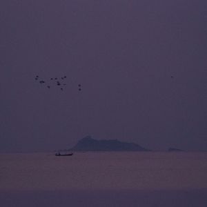 Phonedown的專輯echoes from a fading summer