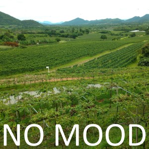 No Mood的专辑No Mood