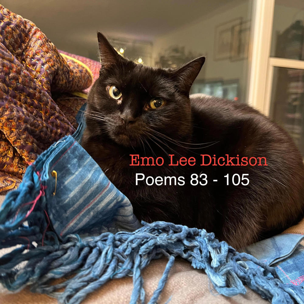 Poem 96: Sexton! My Master's sleeping here. (Radio Edit)