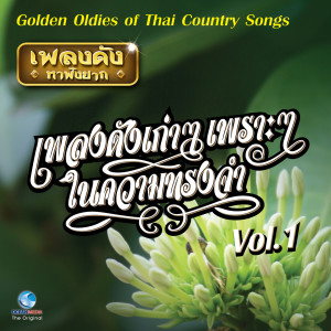 ดาวน์โหลดและฟังเพลง ไม้หลักปักเลน พร้อมเนื้อเพลงจาก ทม นทีทอง