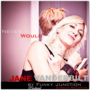 Funky Junction的專輯Never Would (Remixes)