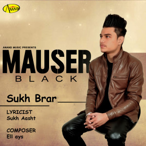Listen to Mauser Black song with lyrics from Sukh Brar