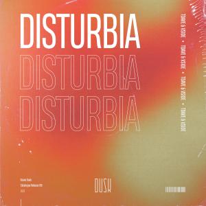 Listen to Disturbia (Extended Mix) song with lyrics from TDave