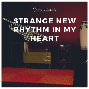Listen to Who Knows? (Explicit) song with lyrics from Billy Ternent & His Sweet Rhythm Orchestra