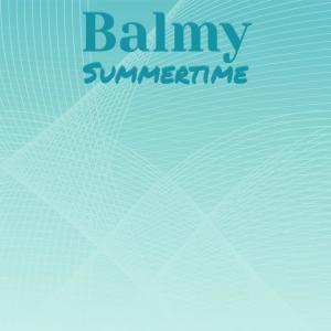 Album Balmy Summertime oleh Various