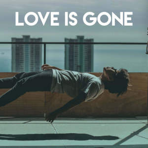 Album Love Is Gone from DJ Tokeo