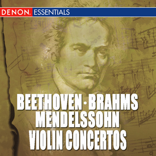 Concerto for Violin & Orchestra in D Major, Op. 77: II. Adagio