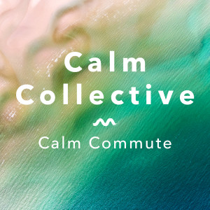 ดาวน์โหลดและฟังเพลง Song To The Sky พร้อมเนื้อเพลงจาก Calm Collective