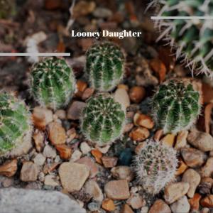 Listen to Seasonal song with lyrics from Jarl Mozar