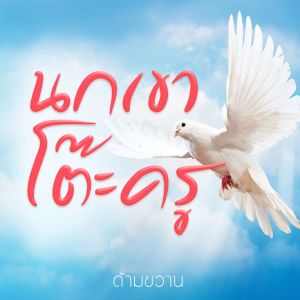 ดาวน์โหลดและฟังเพลง นกเขาโต๊ะครู พร้อมเนื้อเพลงจาก ด้ามขวาน