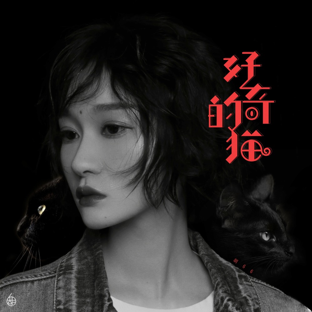 好奇的猫 (伴奏)