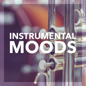 Album Instrumental Moods oleh Varius Artists