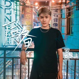 后备 dari 罗格