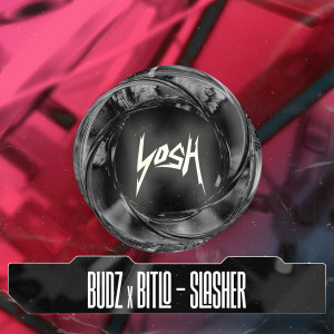 Album Slasher from Budz