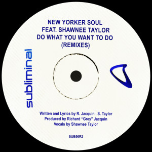 Album Do What You Want To Do (Remixes) from New Yorker Soul
