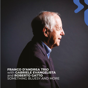 Franco D'Andrea Trio的專輯Something Bluesy and More