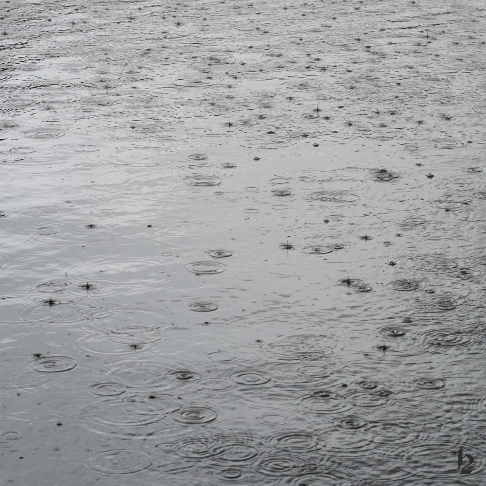 Raindrop