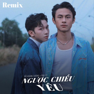 Album Ngược Chiều Yêu (Remix) from Đỗ Hoàng Dương