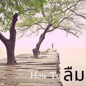 Listen to How To ลืม (Remix) song with lyrics from Legendboy