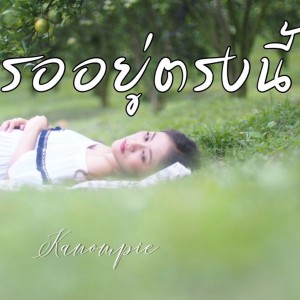 อัลบัม รออยู่ตรงนี้ ศิลปิน ขนมพาย พนัชกร