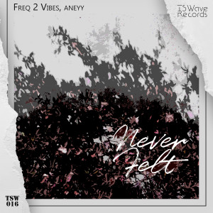 收聽Freq 2 Vibes的Never Felt歌詞歌曲