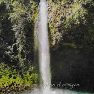 收听Enrique Rodriguez的Si No Me Engana El Corazon歌词歌曲