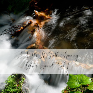 Native American Flute的專輯ASMR Gentle Running Water Sound Vol. 1