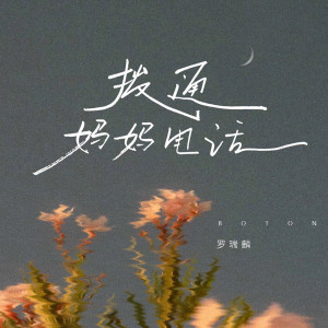 Listen to 拨通妈妈电话 song with lyrics from 罗瑞麟