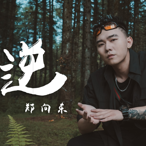 逆 (完整版)