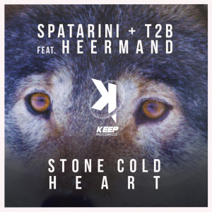 Listen to Stone Cold Heart song with lyrics from Spatarini