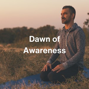 Album Dawn of Awareness from Sleep Music Wellness