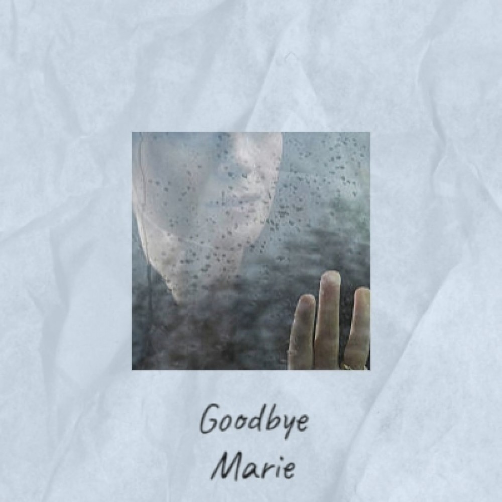 Goodbye Marie