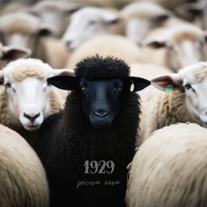 Listen to Pecora Nera song with lyrics from Arduz