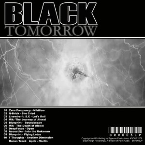 ดาวน์โหลดและฟังเพลง Into the Unknown พร้อมเนื้อเพลงจาก Acoustiks