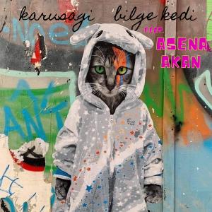 ดาวน์โหลดและฟังเพลง Bilge Kedi (feat. Asena Akan) พร้อมเนื้อเพลงจาก Karusagi