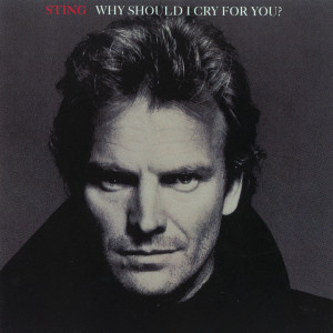 ดาวน์โหลดและฟังเพลง Why Should I Cry For You? (Spanish Version) พร้อมเนื้อเพลงจาก Sting
