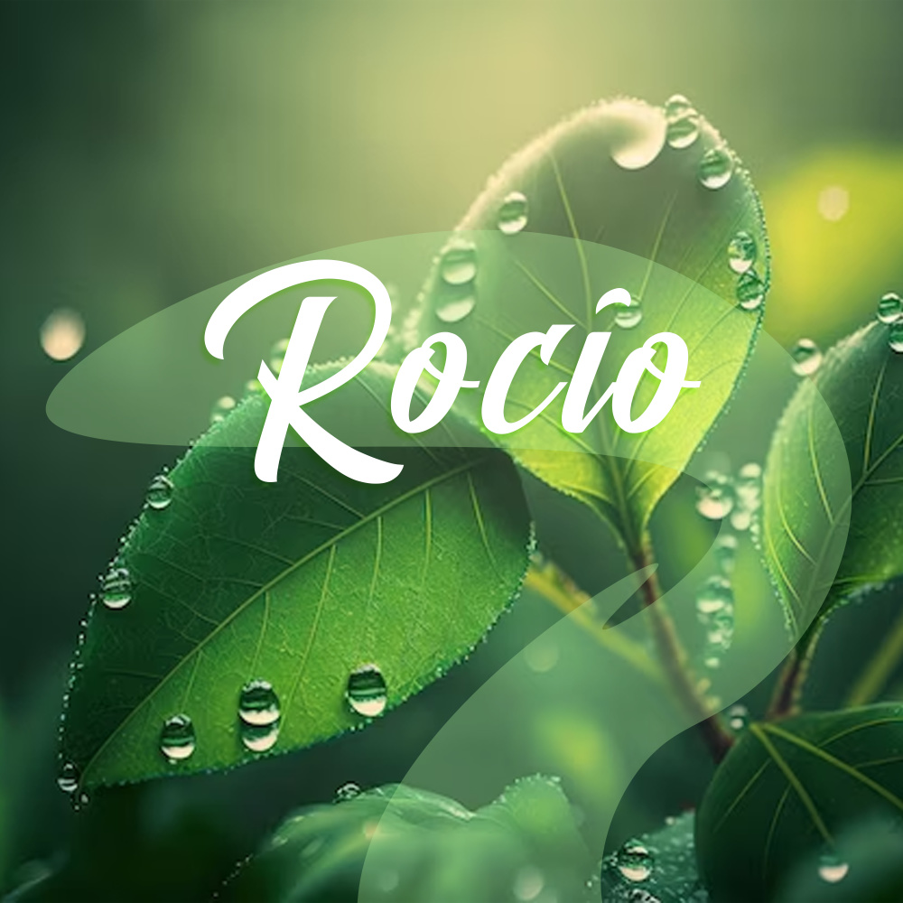 Rocío