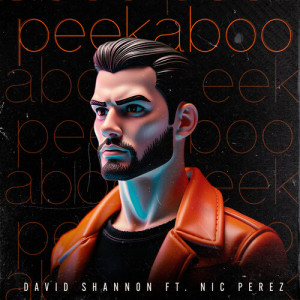 David Shannon的专辑peekaboo