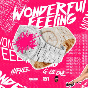 Listen to Wonderful Feeling (Explicit) song with lyrics from Hafree