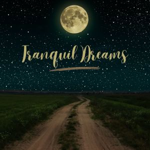 Album Tranquil Dreams from Geronimo Vibraciones Astrales
