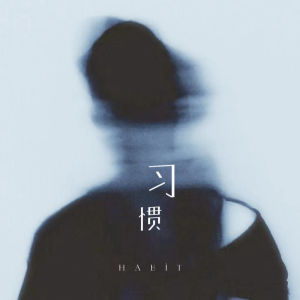收听不是黑籽儿的习惯歌词歌曲