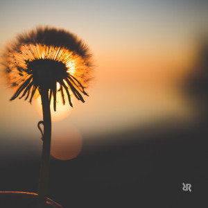 Listen to FTS (REWORK) song with lyrics from Rodrigo Ribeiro
