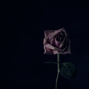 Listen to my heart dies when u leave song with lyrics from DryJo