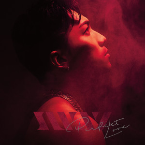 ดาวน์โหลดและฟังเพลง Perfect Love พร้อมเนื้อเพลงจาก Sway